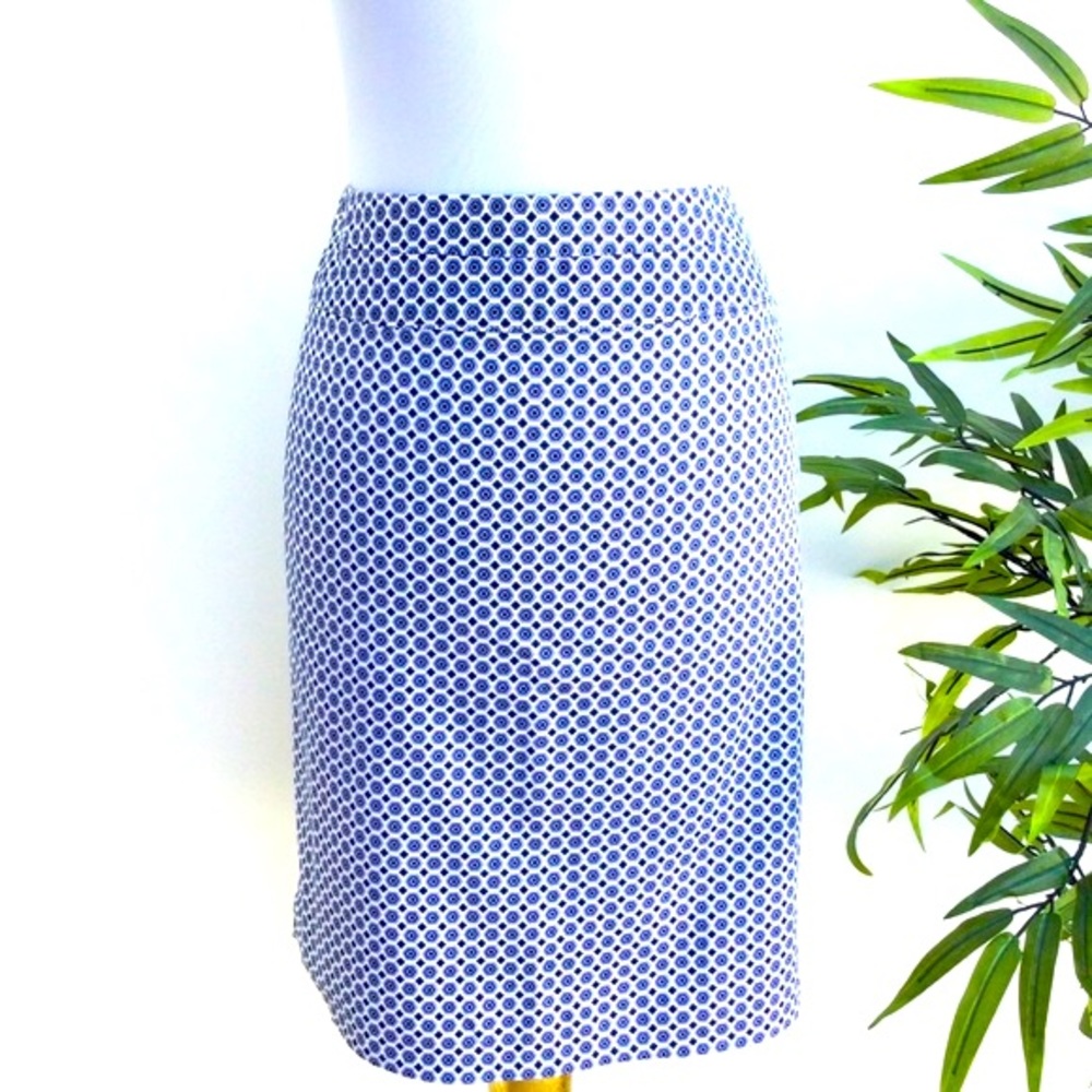 Donna Ricco Skirt